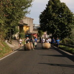 serrone 2014 (12)